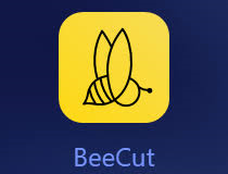 BeeCut 1.7.9.13 Crack + Activation Key 2023 Free Download 