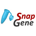 SnapGene 6.2.1 Crack + Registration Key Free Download 2023